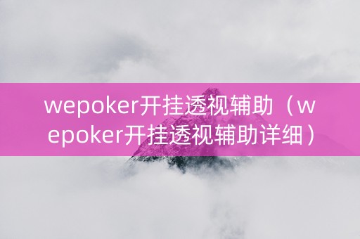 wepoker开挂透视辅助（wepoker开挂透视辅助详细）