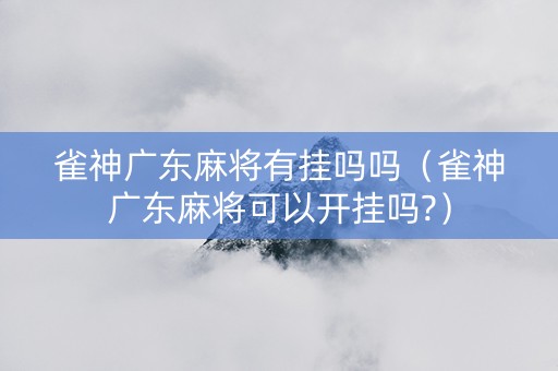 雀神广东麻将有挂吗吗（雀神广东麻将可以开挂吗?）