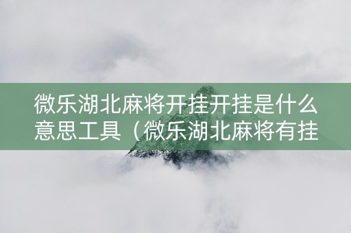 微乐湖北麻将开挂开挂是什么意思工具（微乐湖北麻将有挂吗）