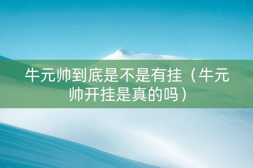 牛元帅到底是不是有挂（牛元帅开挂是真的吗）