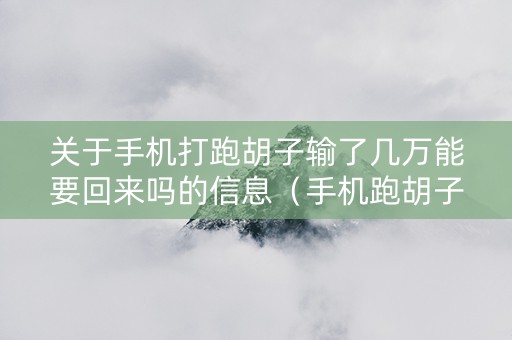 关于手机打跑胡子输了几万能要回来吗的信息（手机跑胡子有什么技巧）