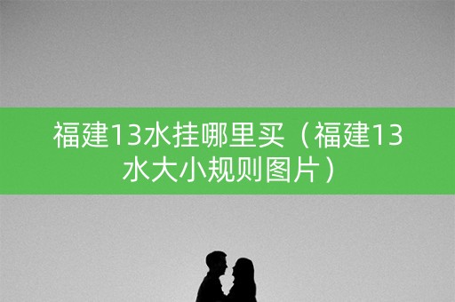 福建13水挂哪里买（福建13水大小规则图片）