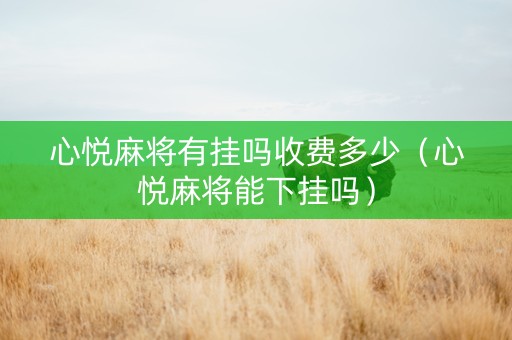 心悦麻将有挂吗收费多少（心悦麻将能下挂吗）