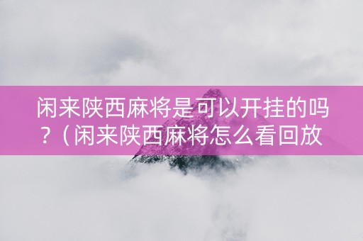 闲来陕西麻将是可以开挂的吗?（闲来陕西麻将怎么看回放）