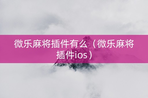 微乐麻将插件有么（微乐麻将插件ios）