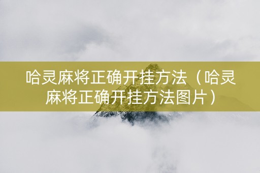 哈灵麻将正确开挂方法（哈灵麻将正确开挂方法图片）