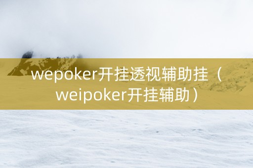 wepoker开挂透视辅助挂（weipoker开挂辅助）