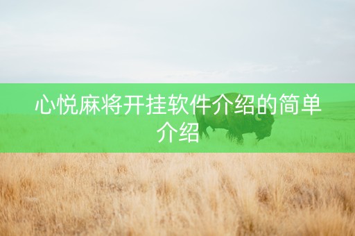 心悦麻将开挂软件介绍的简单介绍