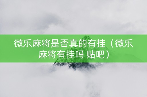 微乐麻将是否真的有挂（微乐麻将有挂吗 贴吧）