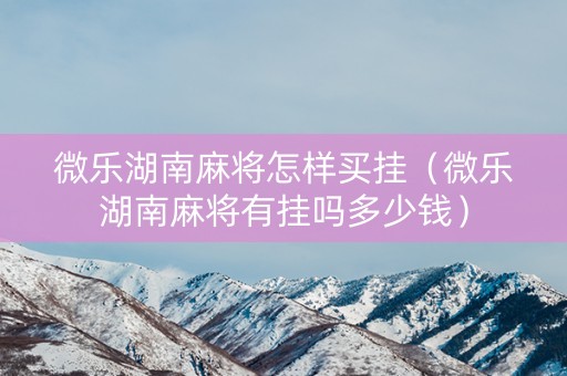 微乐湖南麻将怎样买挂（微乐湖南麻将有挂吗多少钱）