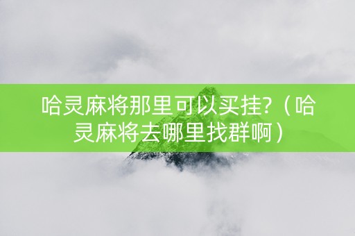 哈灵麻将那里可以买挂?（哈灵麻将去哪里找群啊）