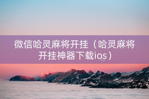 微信哈灵麻将开挂（哈灵麻将开挂神器下载ios）