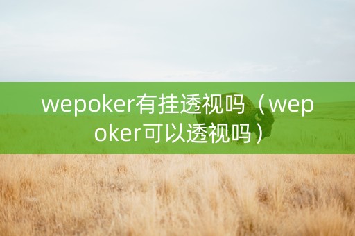 wepoker有挂透视吗（wepoker可以透视吗）