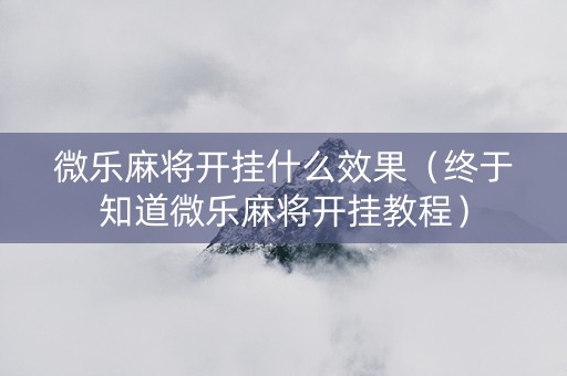 微乐麻将开挂什么效果（终于知道微乐麻将开挂教程）