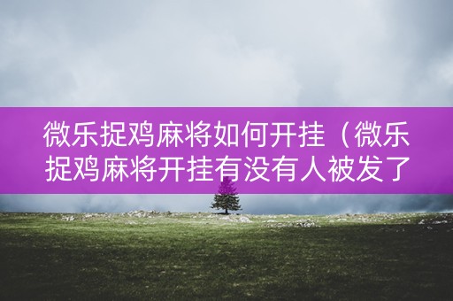 微乐捉鸡麻将如何开挂（微乐捉鸡麻将开挂有没有人被发了钱不给软件）