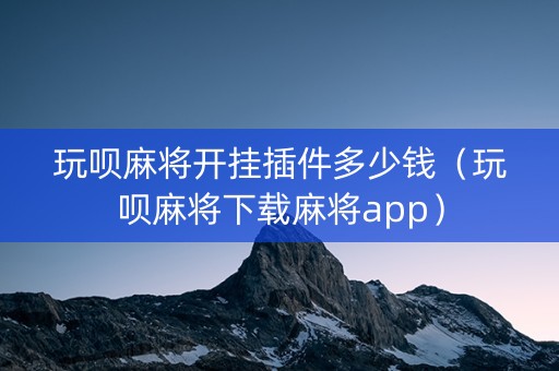 玩呗麻将开挂插件多少钱（玩呗麻将下载麻将app）