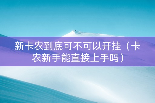 新卡农到底可不可以开挂（卡农新手能直接上手吗）