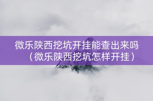 微乐陕西挖坑开挂能查出来吗（微乐陕西挖坑怎样开挂）