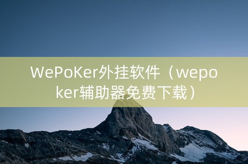 WePoKer外挂软件（wepoker辅助器免费下载）