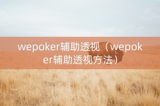 wepoker辅助透视（wepoker辅助透视方法）