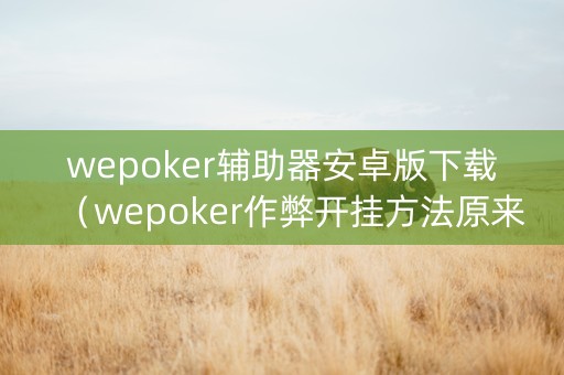 wepoker辅助器安卓版下载（wepoker作弊开挂方法原来有挂）