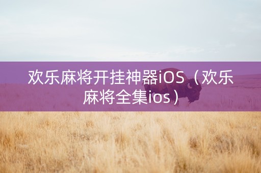 欢乐麻将开挂神器iOS（欢乐麻将全集ios）