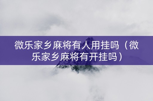 微乐家乡麻将有人用挂吗（微乐家乡麻将有开挂吗）