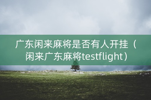 广东闲来麻将是否有人开挂（闲来广东麻将testflight）