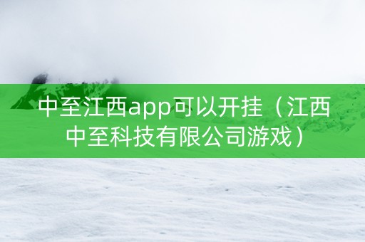 中至江西app可以开挂（江西中至科技有限公司游戏）