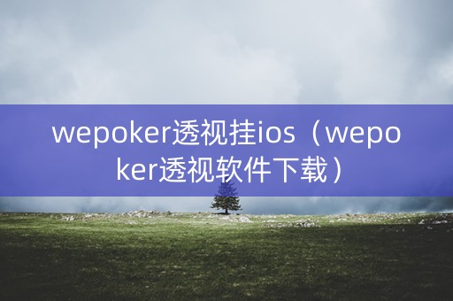 wepoker透视挂ios（wepoker透视软件下载）