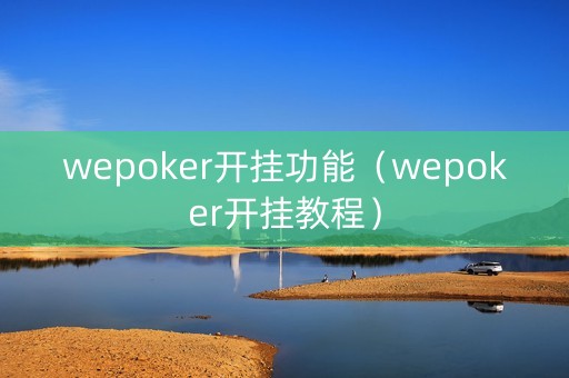 wepoker开挂功能（wepoker开挂教程）