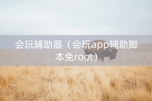 会玩辅助器（会玩app辅助脚本免root）