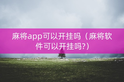 麻将app可以开挂吗（麻将软件可以开挂吗?）