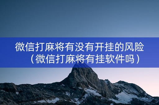 微信打麻将有没有开挂的风险（微信打麻将有挂软件吗）