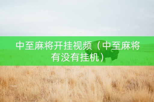 中至麻将开挂视频（中至麻将有没有挂机）