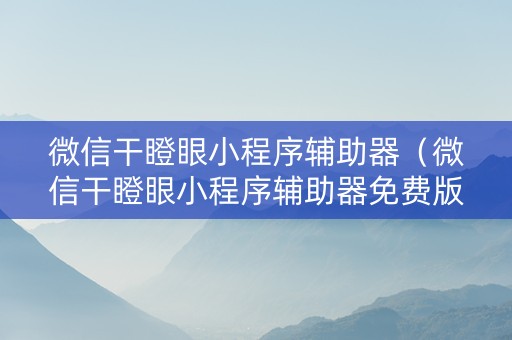 微信干瞪眼小程序辅助器（微信干瞪眼小程序辅助器免费版）