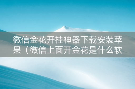 微信金花开挂神器下载安装苹果（微信上面开金花是什么软件）