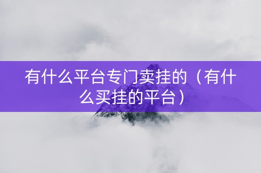 有什么平台专门卖挂的（有什么买挂的平台）