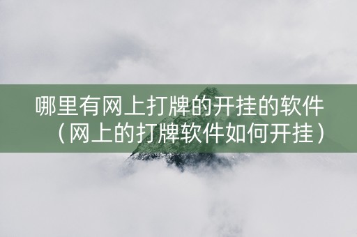 哪里有网上打牌的开挂的软件（网上的打牌软件如何开挂）