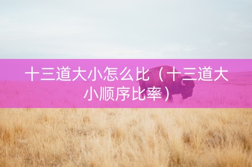 十三道大小怎么比（十三道大小顺序比率）