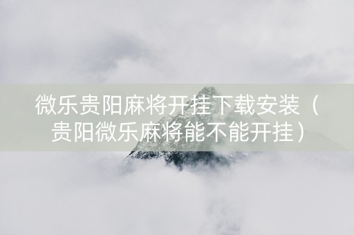 微乐贵阳麻将开挂下载安装（贵阳微乐麻将能不能开挂）