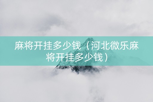 麻将开挂多少钱（河北微乐麻将开挂多少钱）