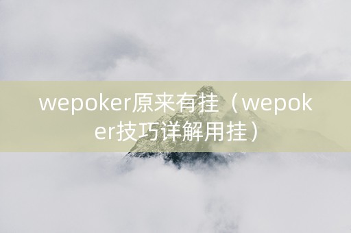 wepoker原来有挂（wepoker技巧详解用挂）