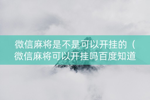 微信麻将是不是可以开挂的（微信麻将可以开挂吗百度知道）