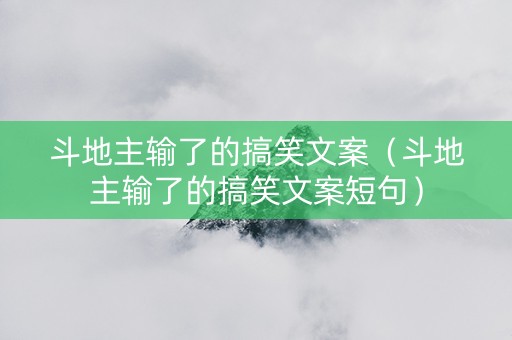 斗地主输了的搞笑文案（斗地主输了的搞笑文案短句）