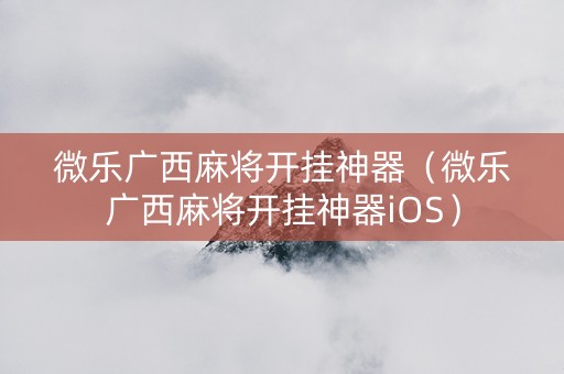 微乐广西麻将开挂神器（微乐广西麻将开挂神器iOS）