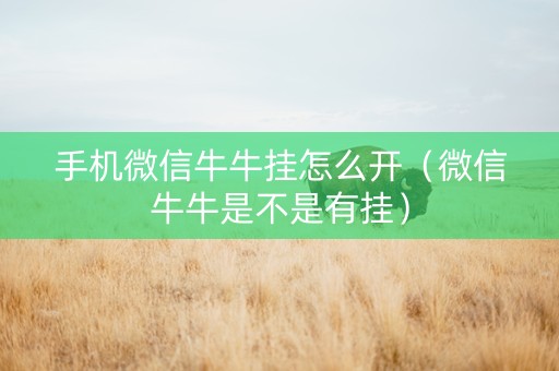 手机微信牛牛挂怎么开（微信牛牛是不是有挂）