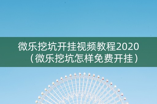 微乐挖坑开挂视频教程2020（微乐挖坑怎样免费开挂）