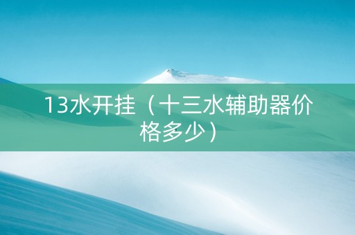 13水开挂（十三水辅助器价格多少）