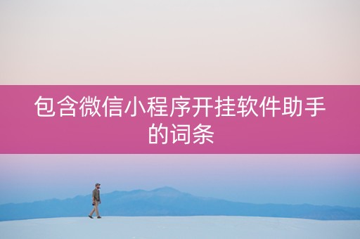 包含微信小程序开挂软件助手的词条